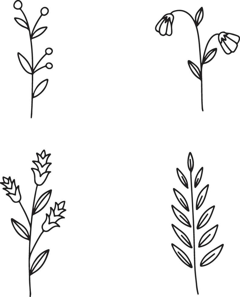 Hand Drawn Leaves With Doodle Design. Isolated On White Background. Vector Illustration.