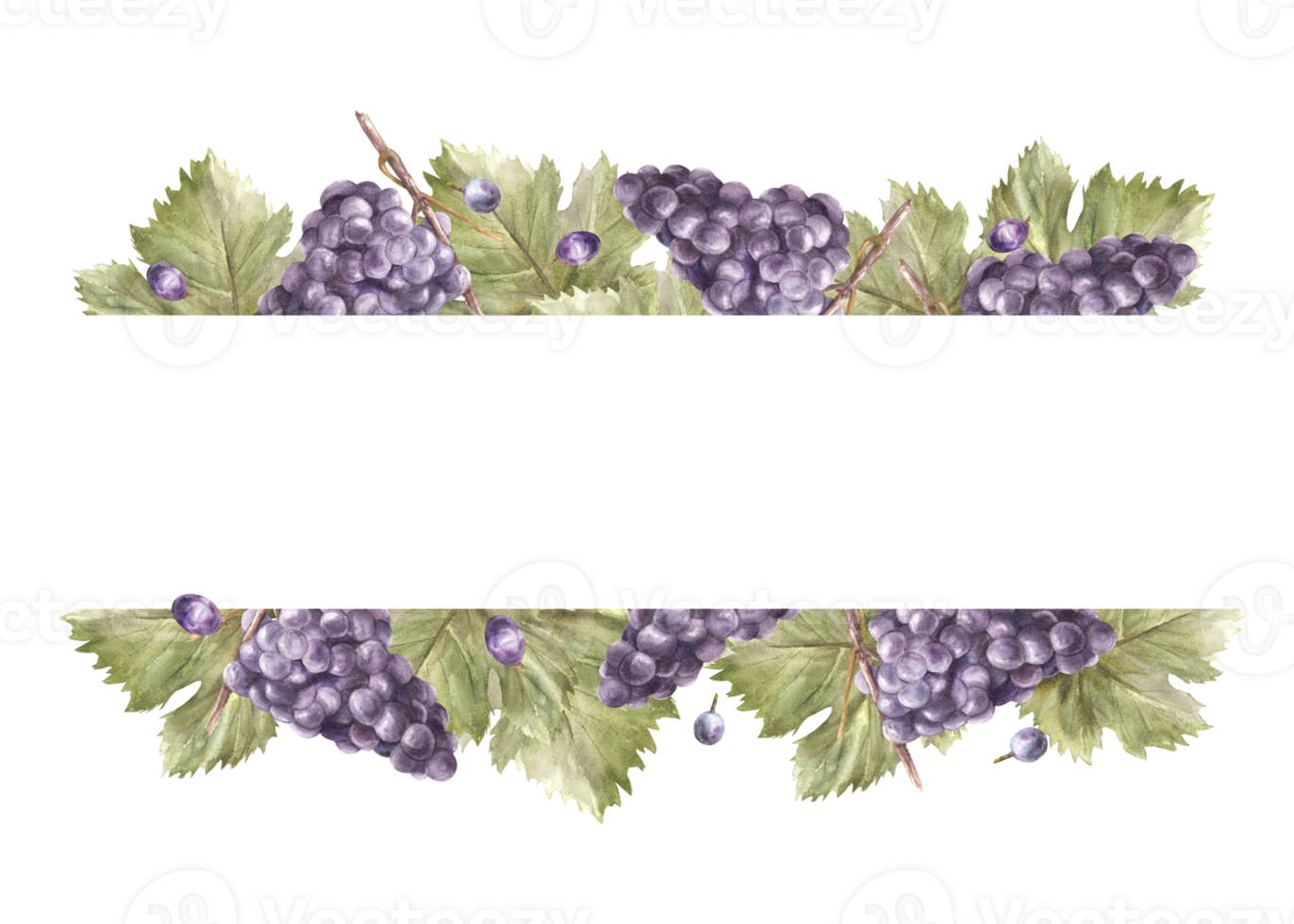 Watercolor square frame bunch of green grapes, leaves and berry. Grapevine label hand painted illustration Design of card, wine list, invitation, restaurant, bar printing. png