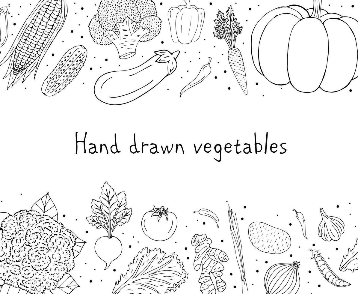 Vector hand drawn sketch frame with vegetable