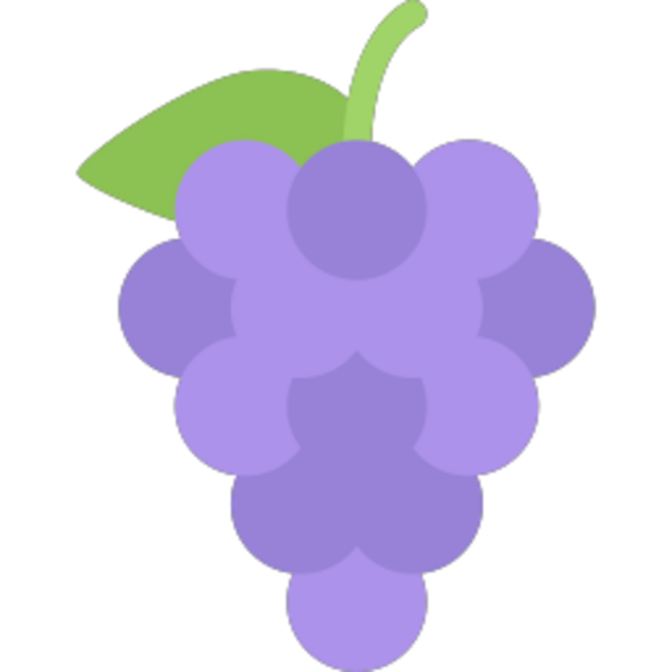 Grapes illustration design png