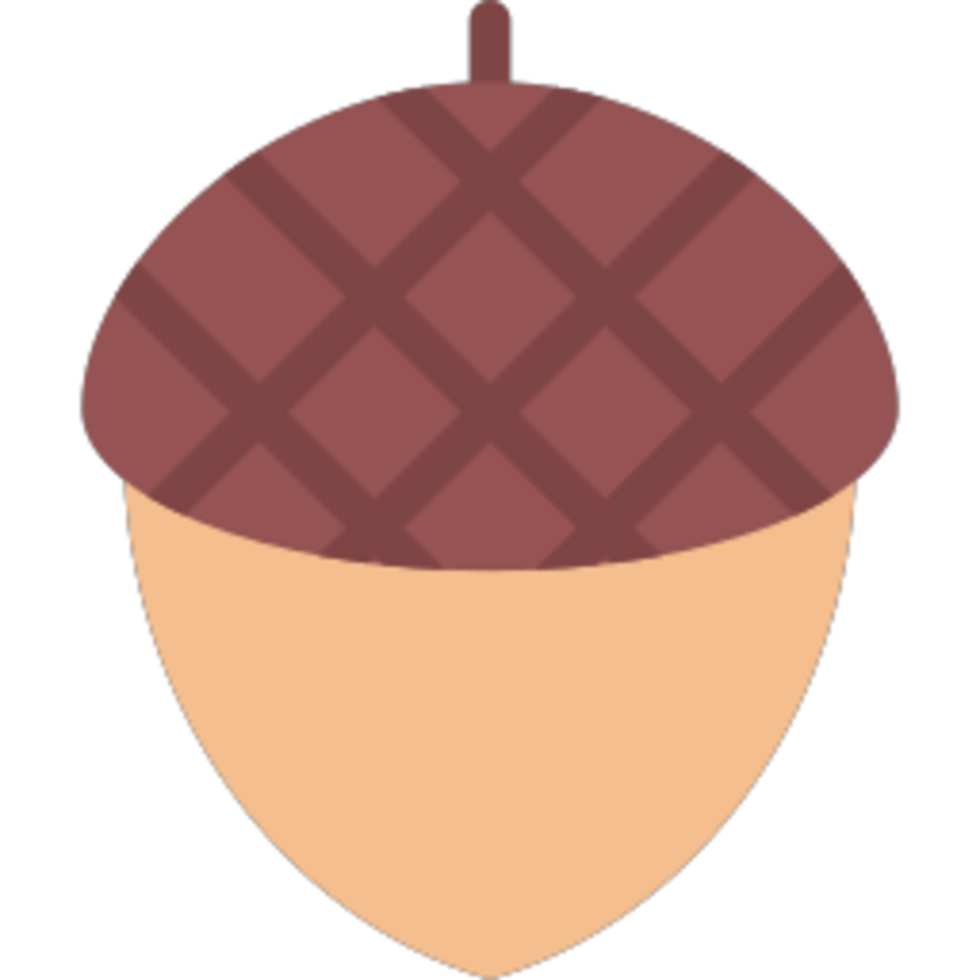 Acorn illustration design png