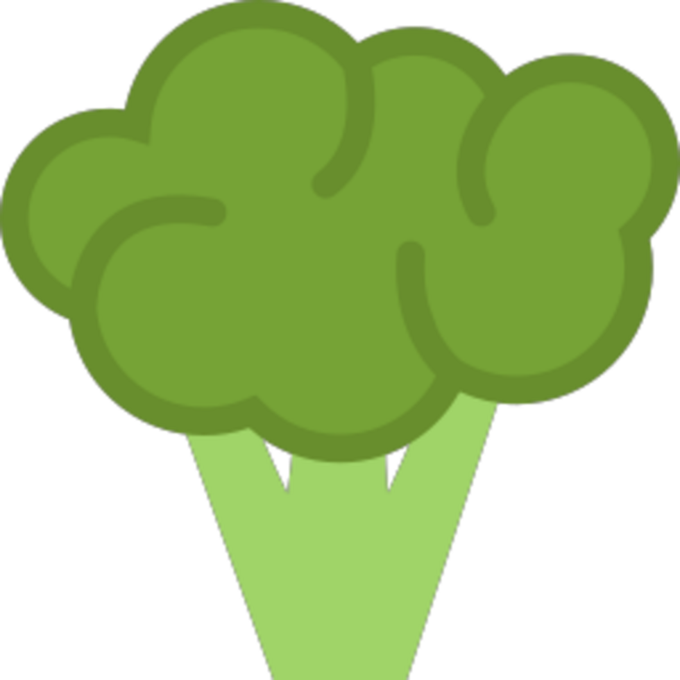 Broccoli illustration design png