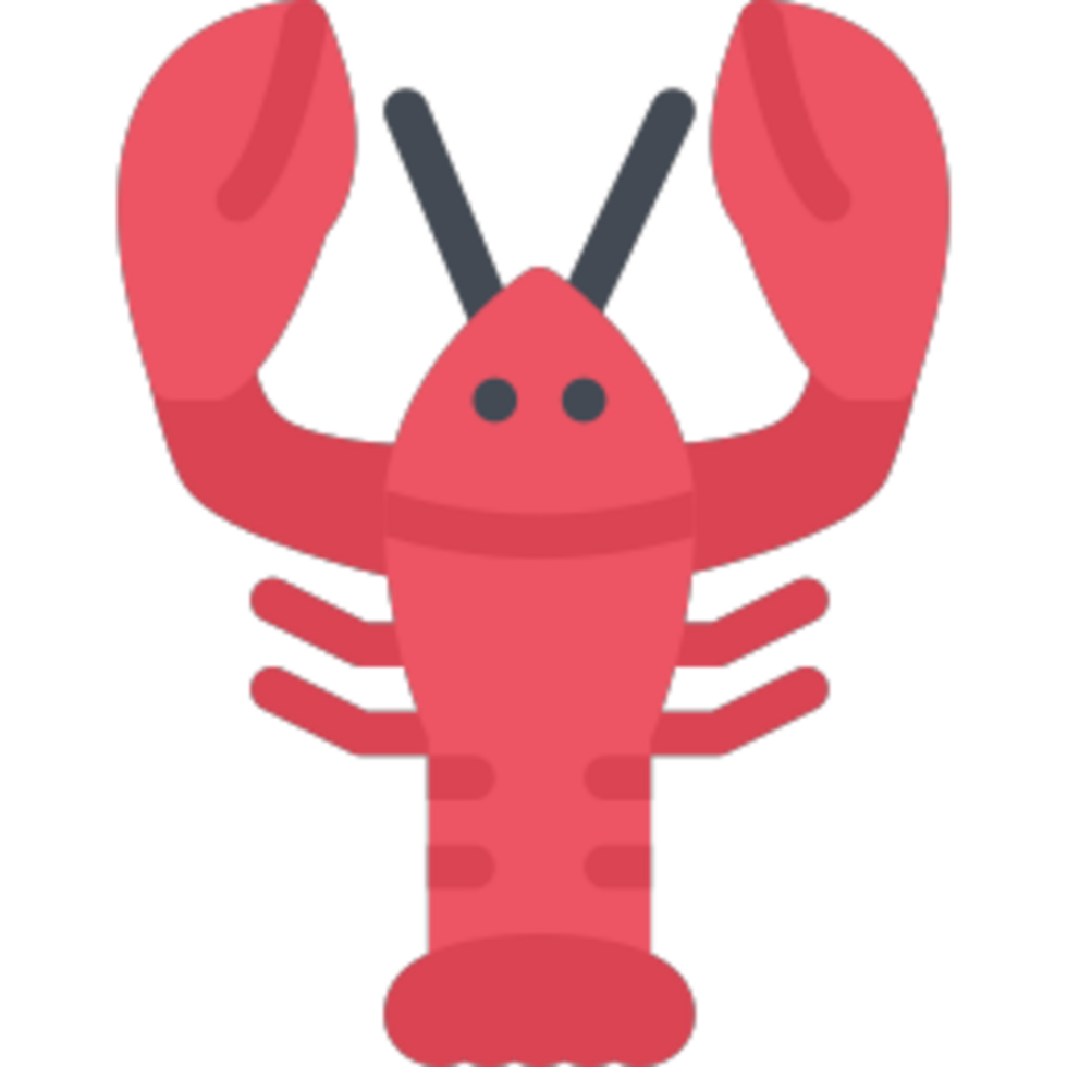 Lobster illustration design png