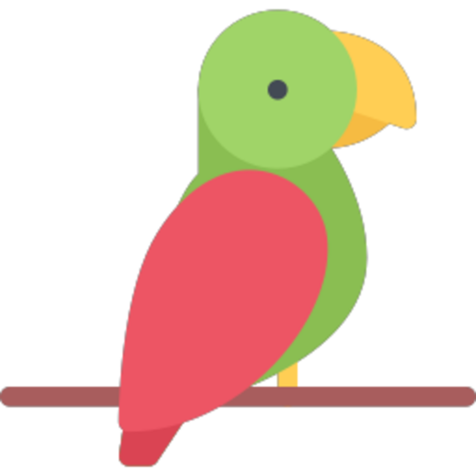 Parrot illustration design png
