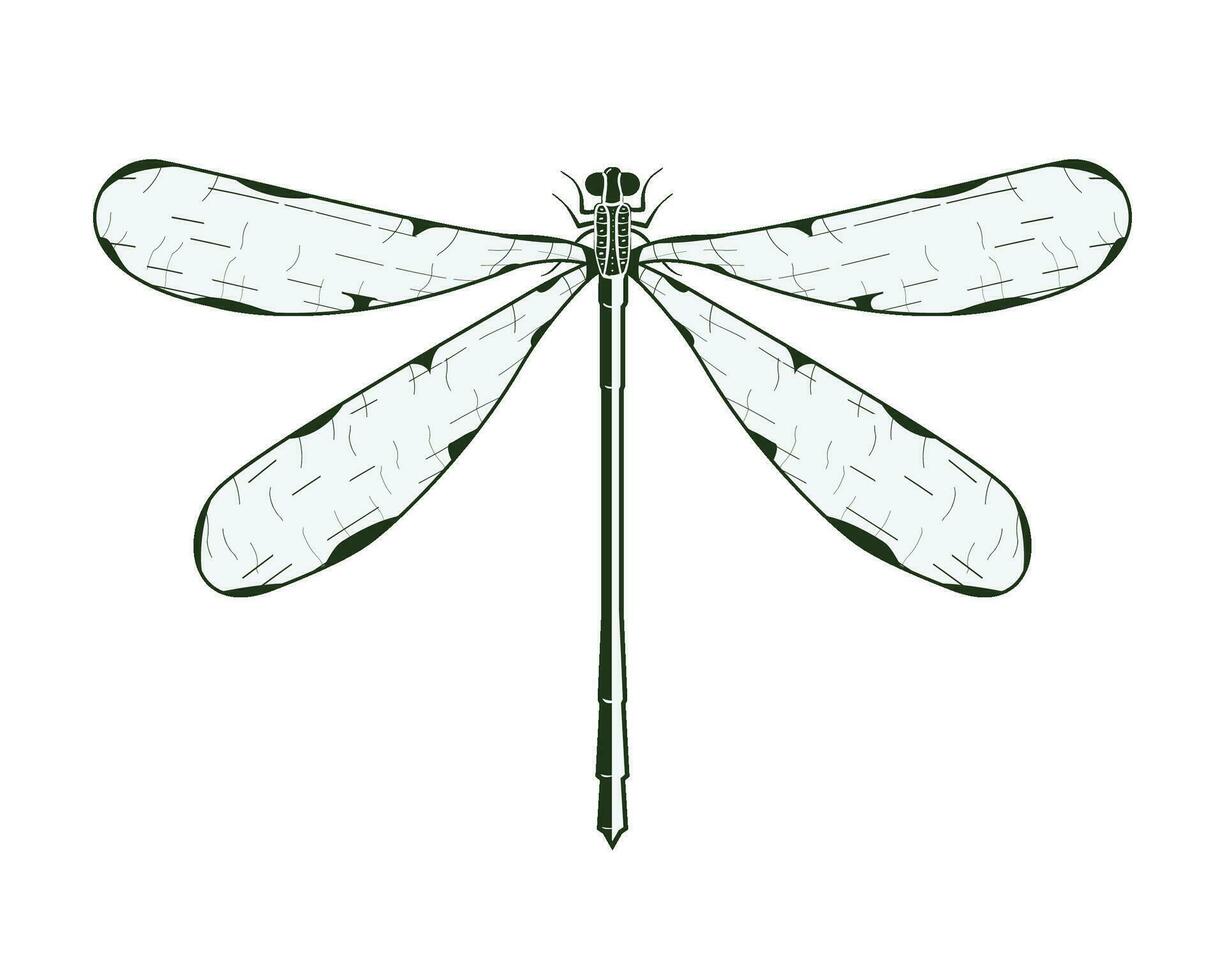 Dragonfly Vector Single Color Illustration