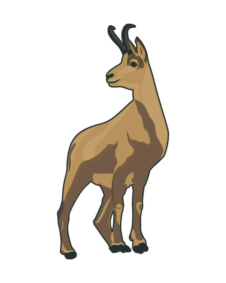 Mountain Deer Vector Illustration EPS