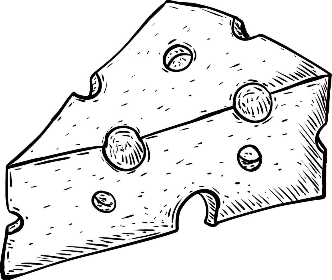 sketch of cheese on white vector