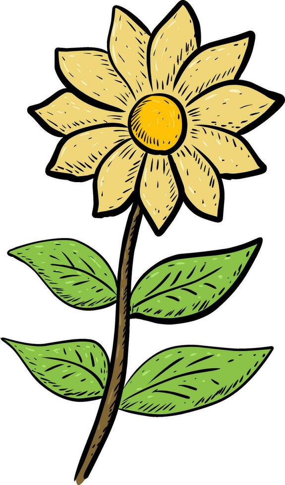 handdrawn of sun flower on white vector