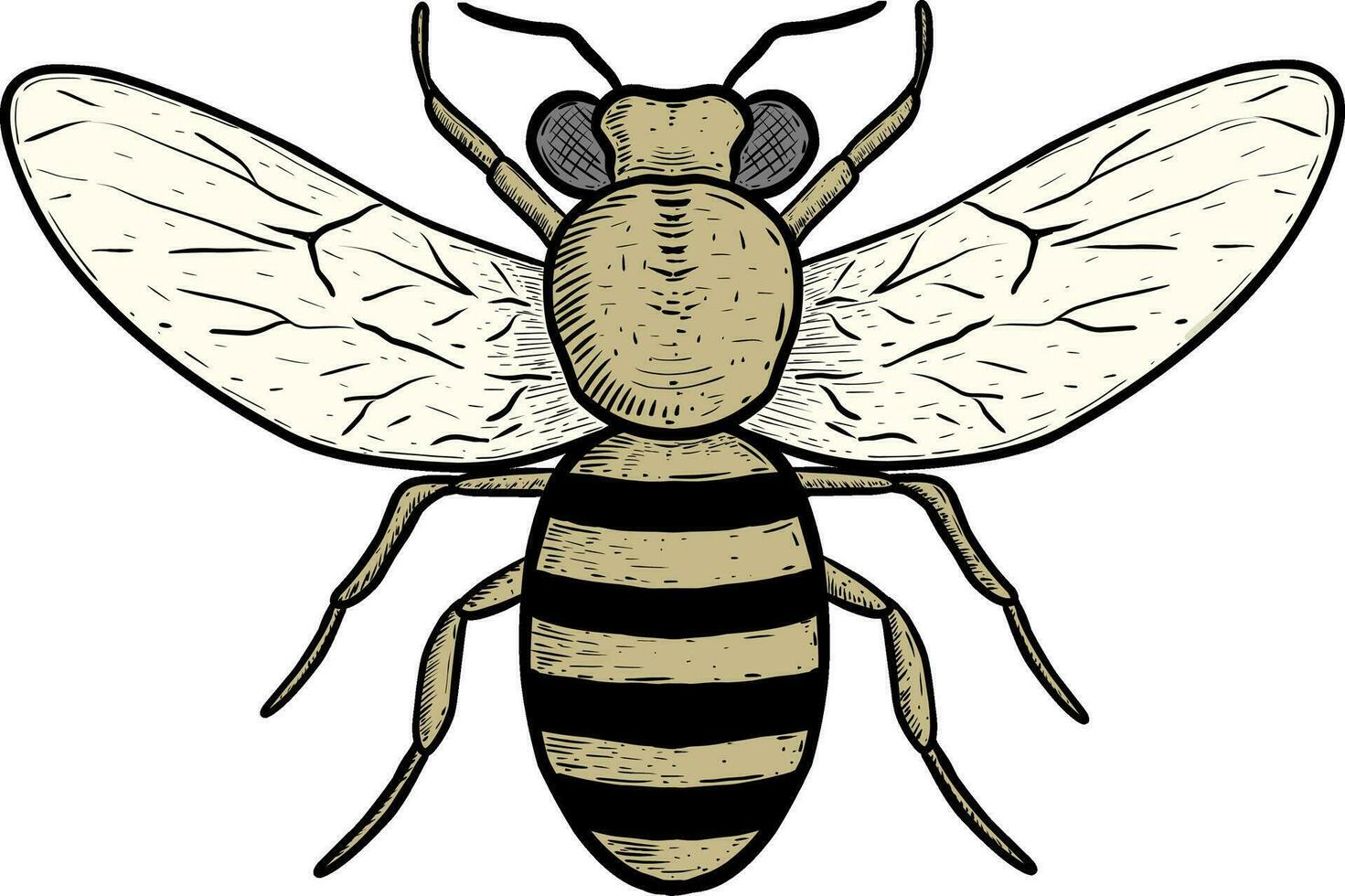 dibujado a mano de abeja insecto animal en blanco vector