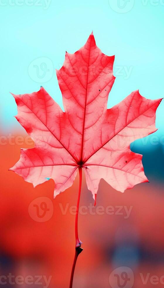 AI generated 4K Colorful leaf AMOLED Wallpaper for Mobile photo