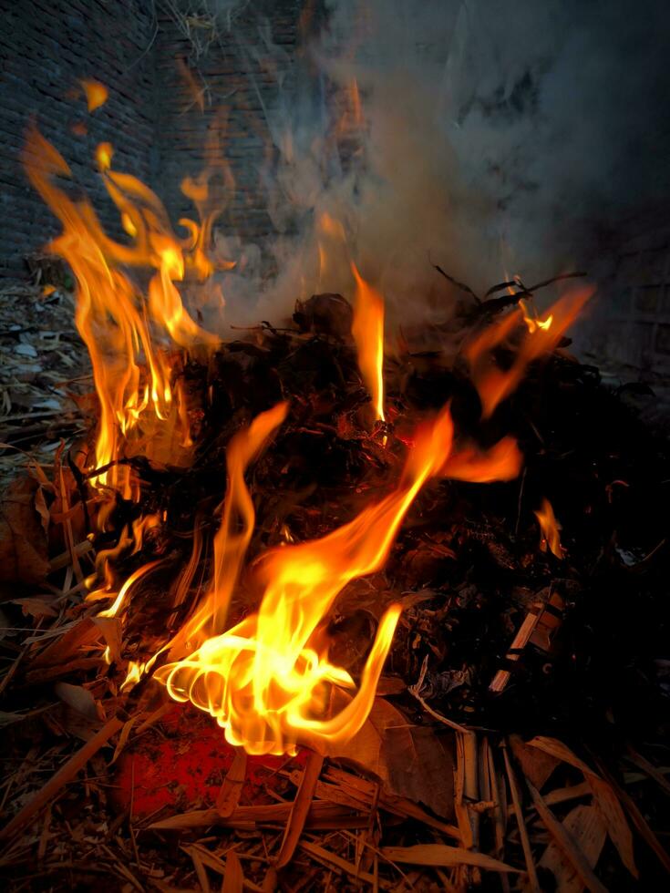 Flames burning bamboo leaves litter photo