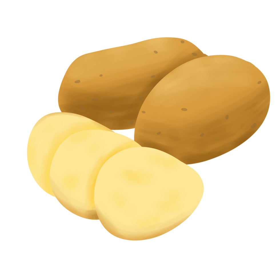 patates dessiné à la main illustration png
