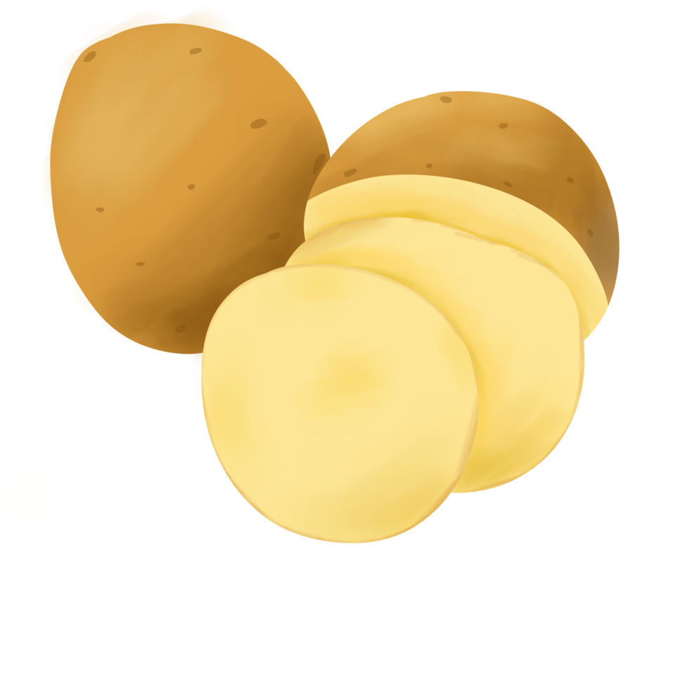 Potatoes handdrawn Illustration png