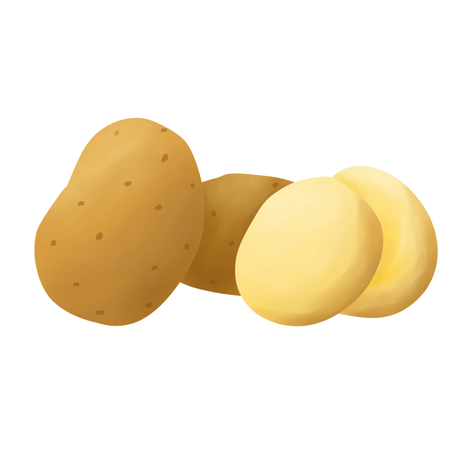 Kartoffeln handgemalt Illustration png