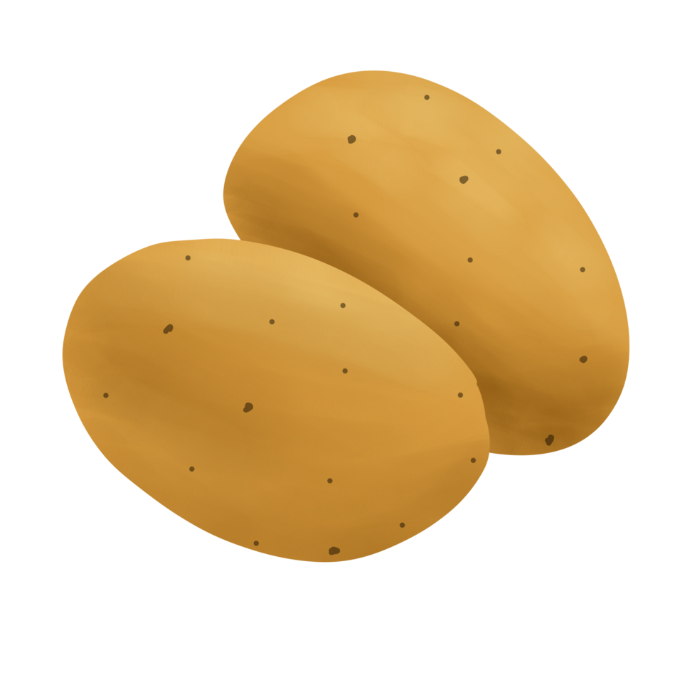 Potatoes handdrawn Illustration png