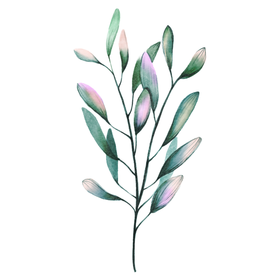 flowers leaves decoration png