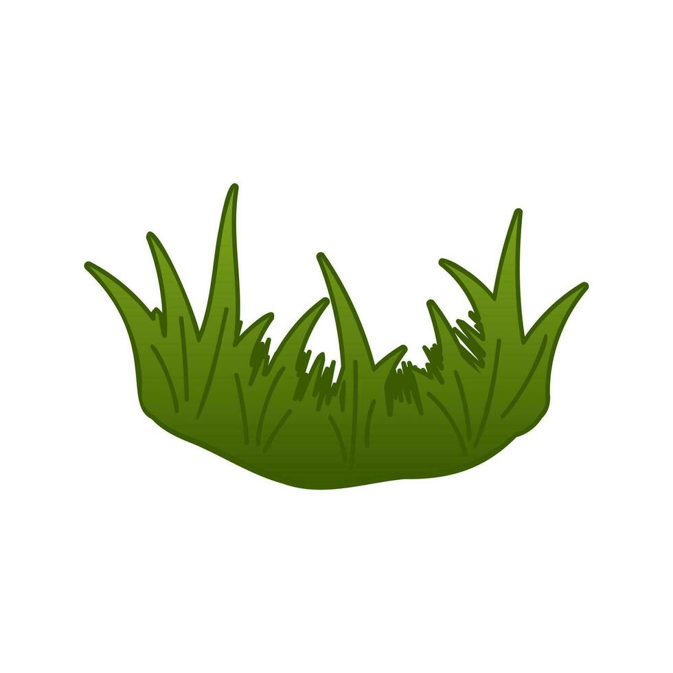 Green grass vector isolated illustration. Bushes of green grass, garden plants. Flat cartoon element for design natural and organic.