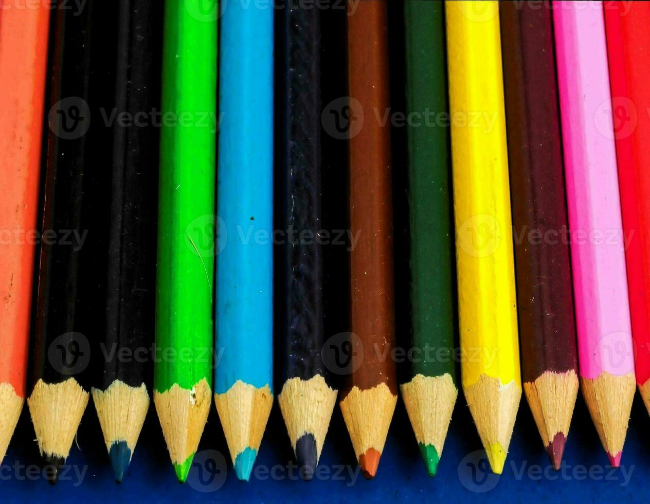 a row of colored pencils on a blue background photo