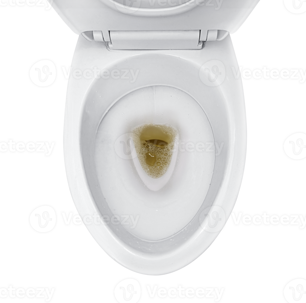 bathroom toilet with dark colored urine. transparent background png