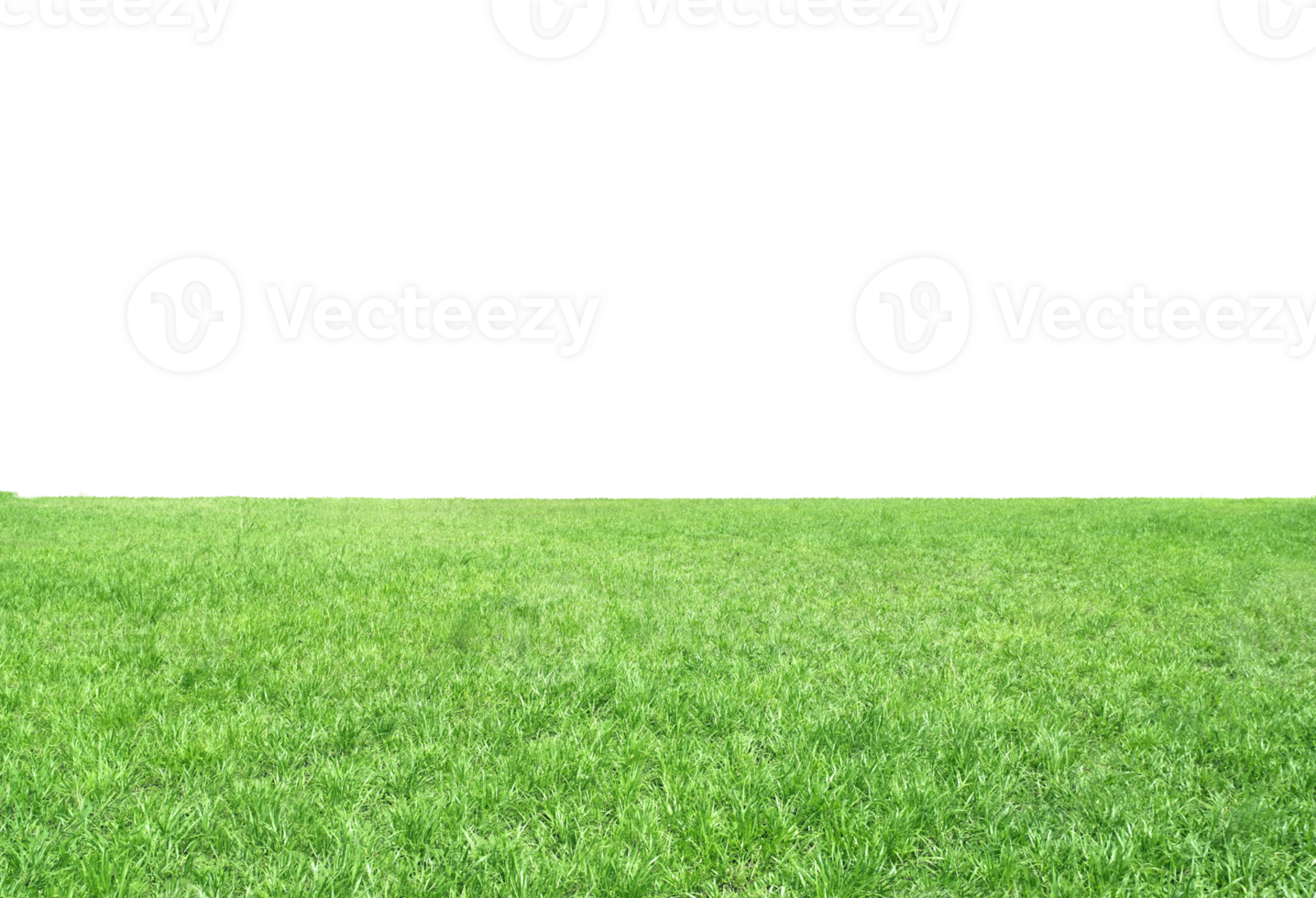 Green meadows. transparent background png