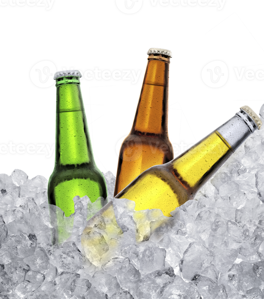 Three bottles of beer on ice cubes. transparent background png