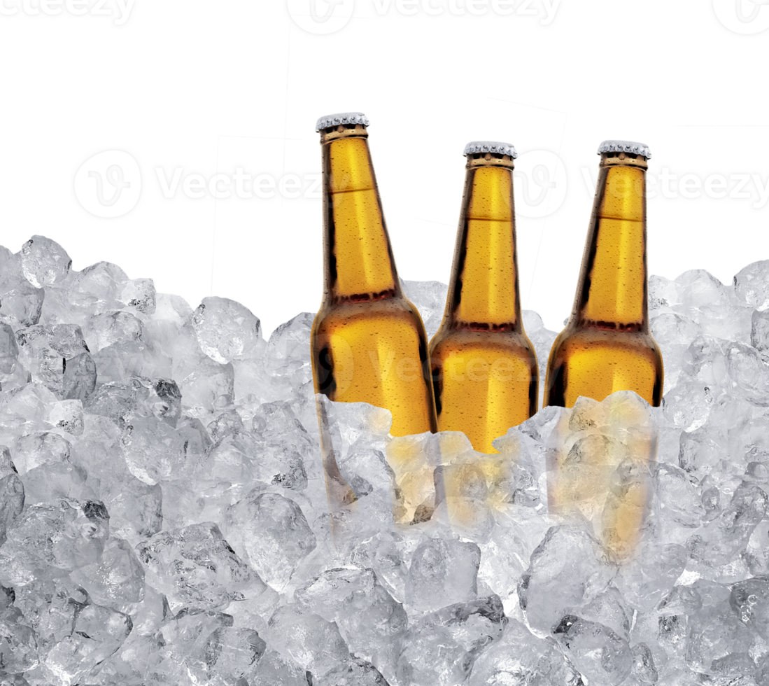 Three bottles of beer on ice cubes. transparent background png