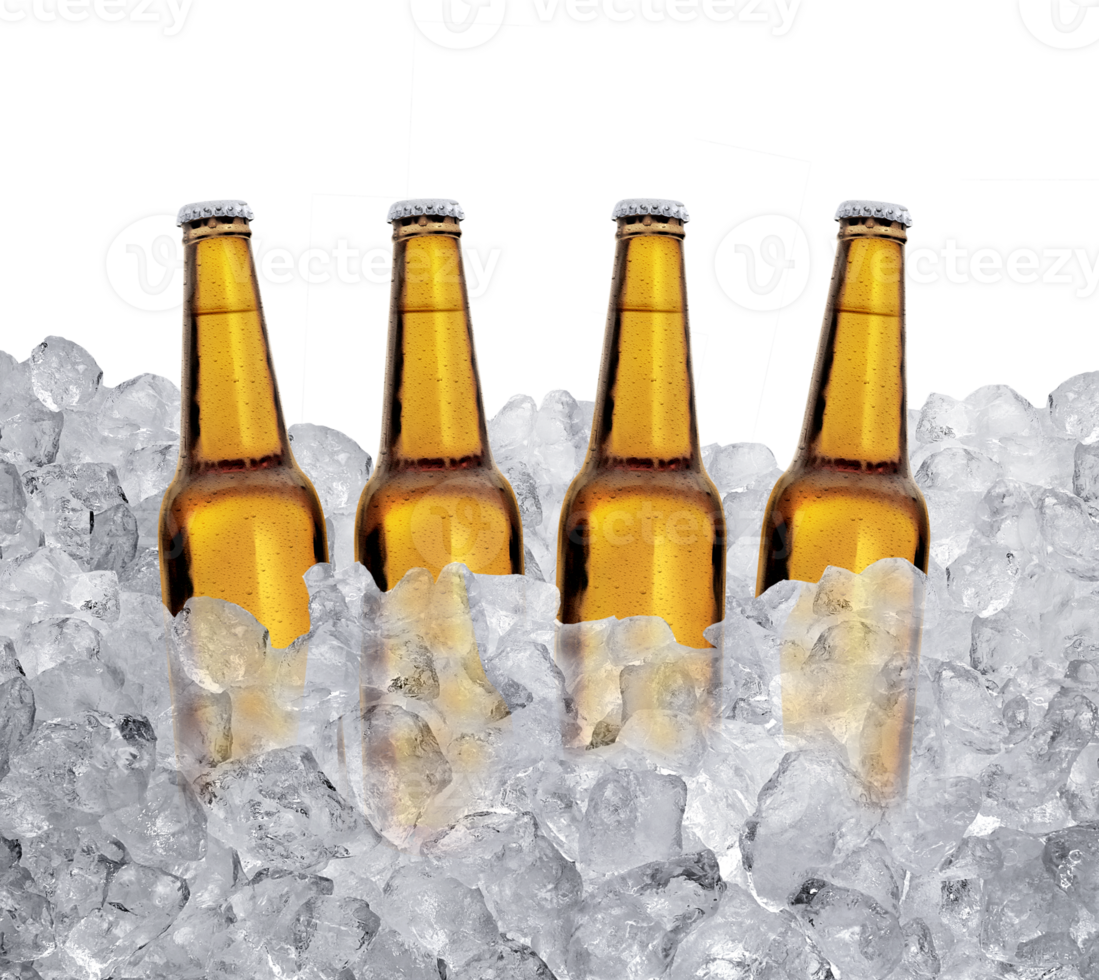 Four bottles of beer on ice cubes. transparent background png