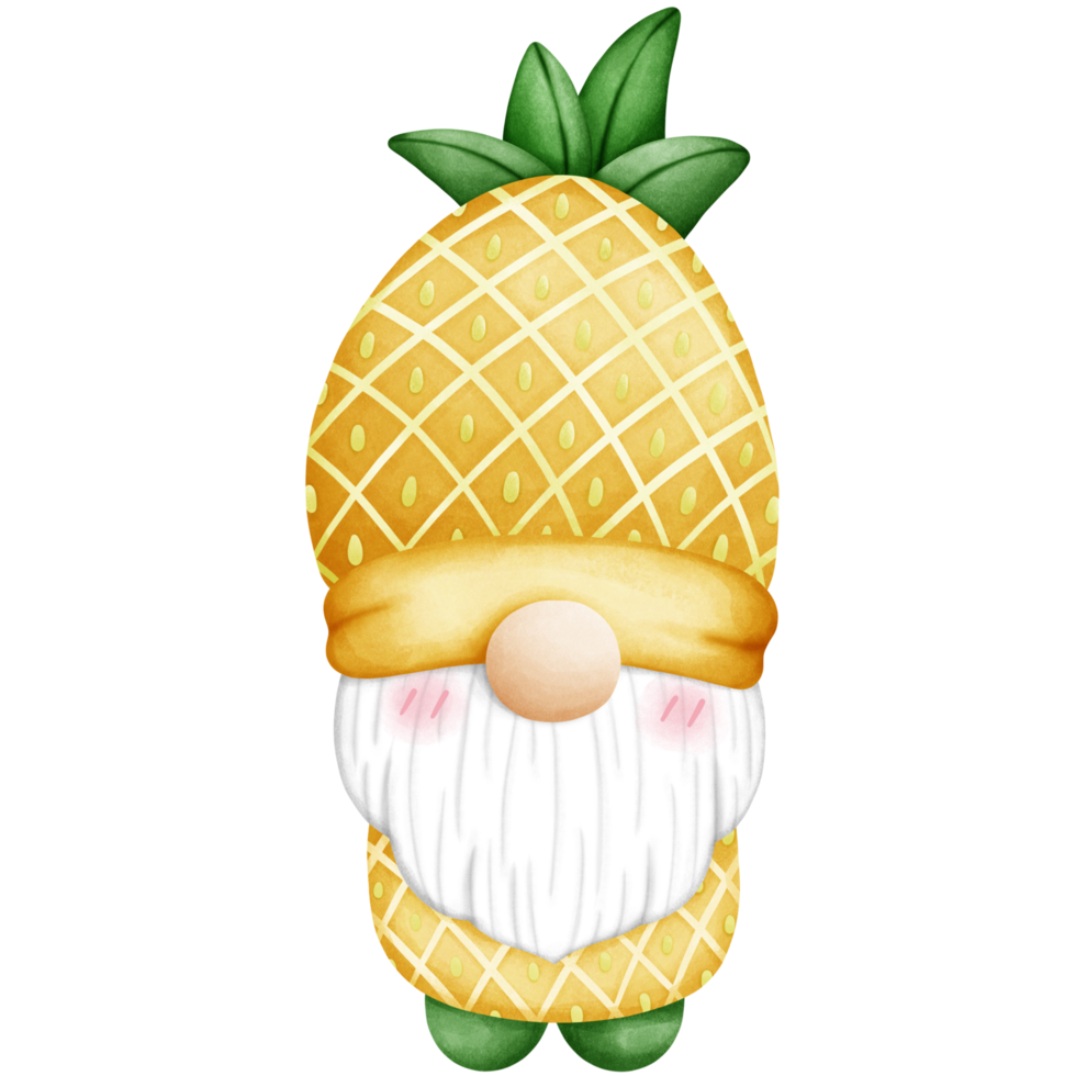 Gnome wears a hat. png