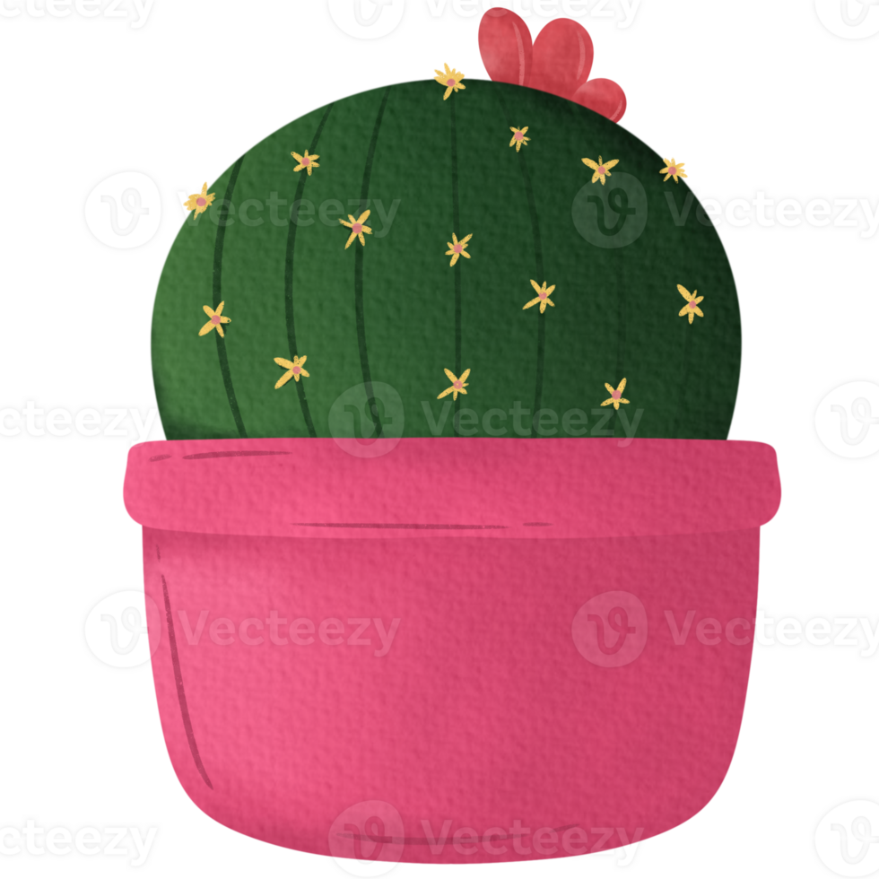 cactus in a flowerpot png