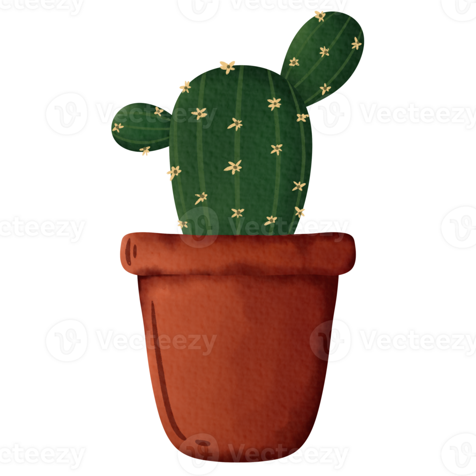 cactus in a flowerpot png