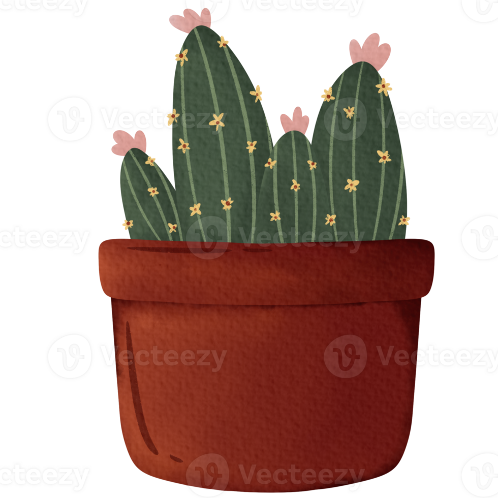 cactus in a flowerpot png