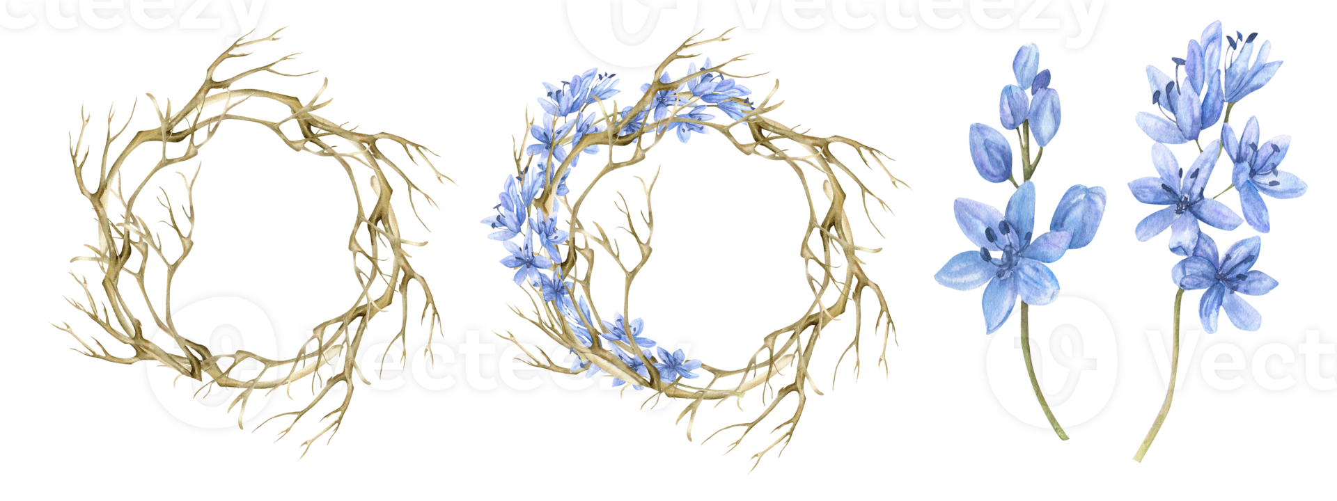 waterverf voorjaar licht bloemen set. hand- getrokken kaal Afdeling lauwerkrans, ronde kader met eerste blauw bloemen, lila bloemen stengels voor uitnodiging, bruiloft, bloemen winkel, label, logo ontwerp png