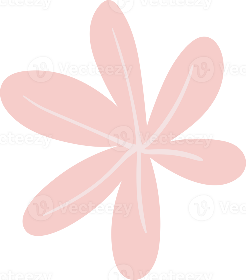 Pink flower. Illustration png