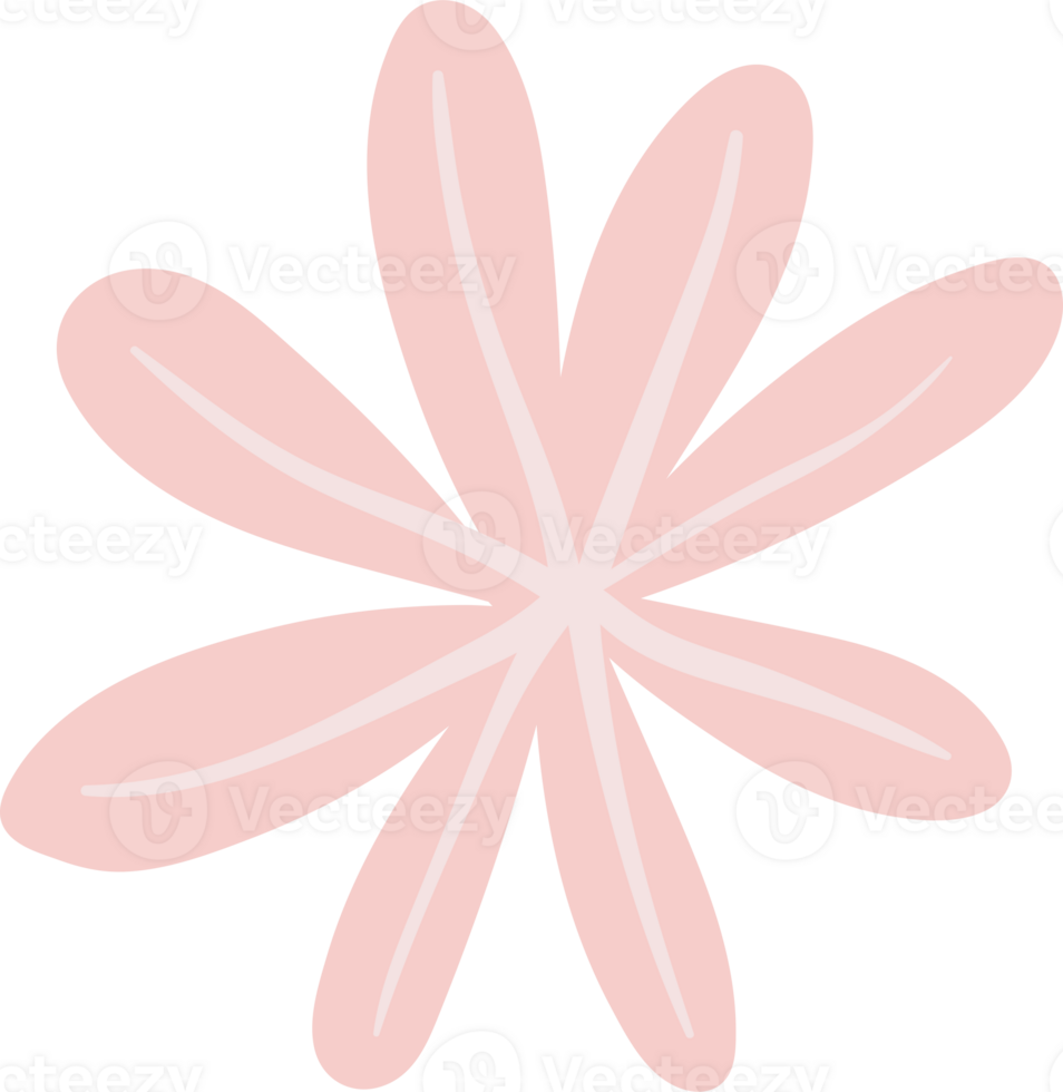 Pink flower. Illustration png