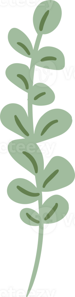 Floral element. Illustration png