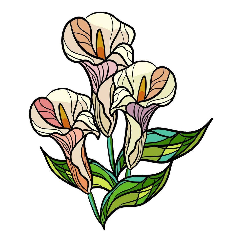 Bouquet of calla lilies with green leaves in stained glass style vector