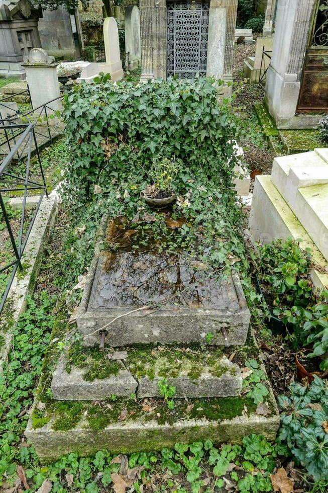 a grave with ivy growing on it and a small fountain photo