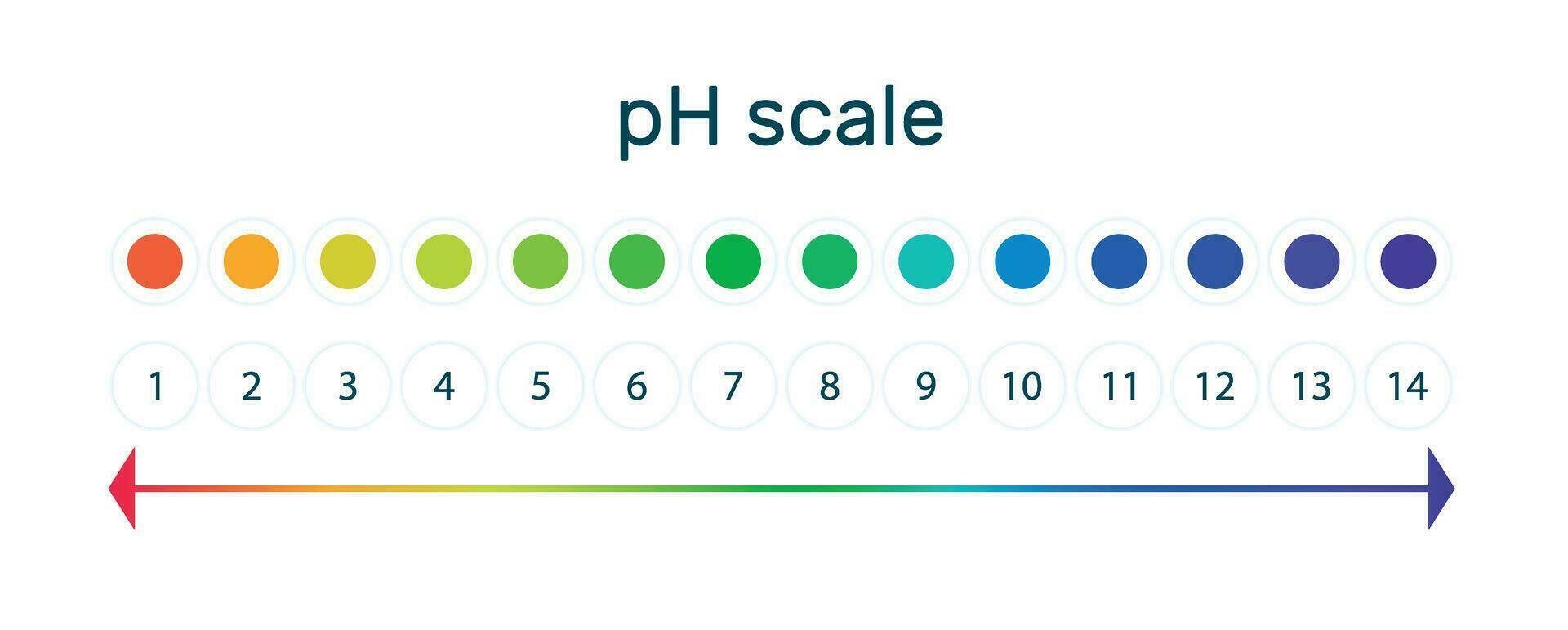 pH value scale indicator chart for acid and alkaline solutions. Vector illustration