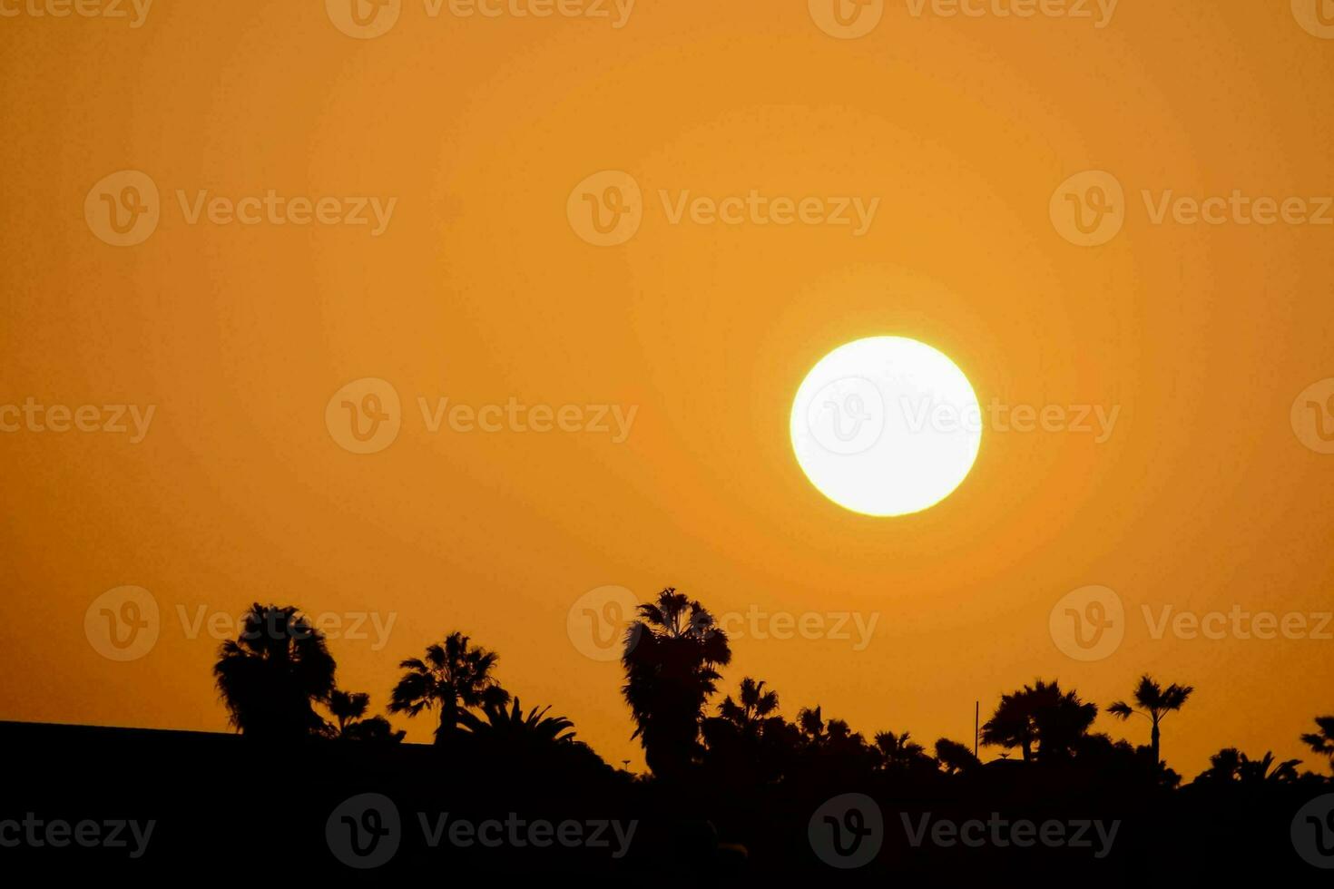 the sun sets behind palm trees in the background photo