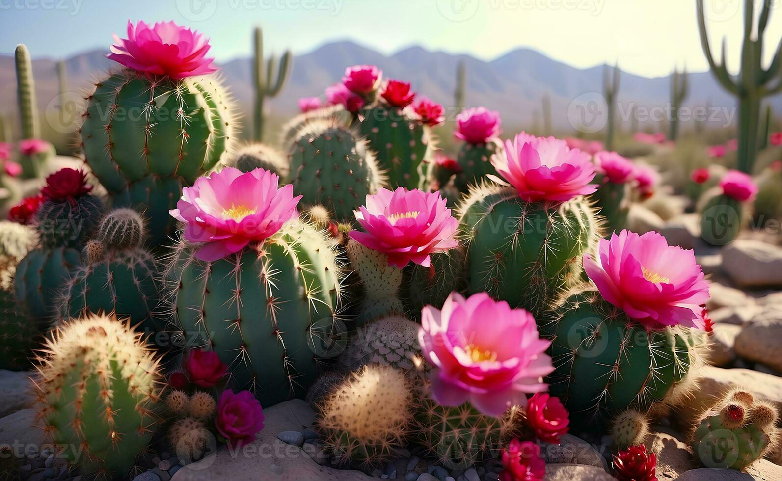 A cute cactus plants with sweet beautiful flowers. photo