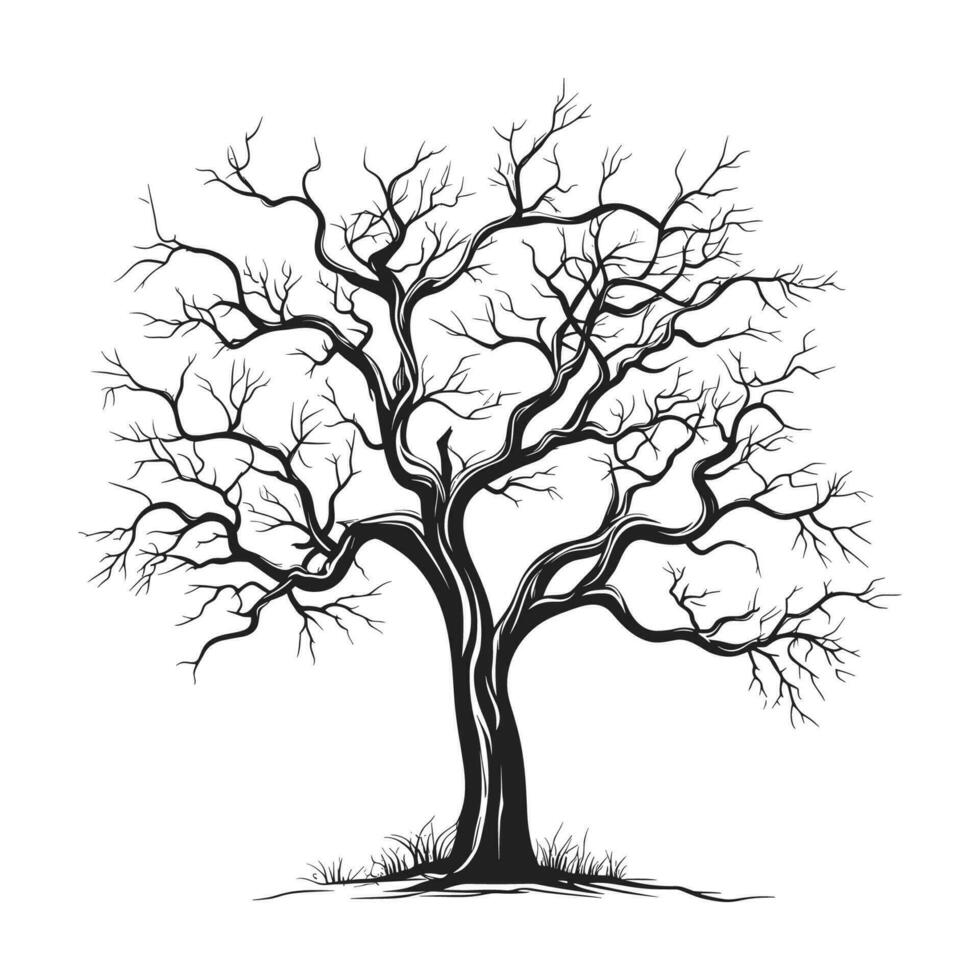 obsesionado árbol bosquejo vector silueta aislado en un blanco fondo, muerto de miedo árbol silueta vector