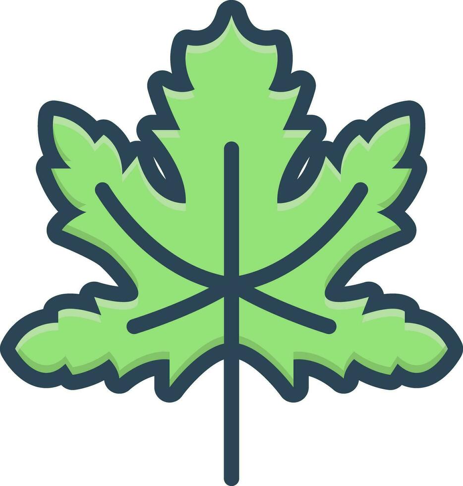 color icon for maple vector