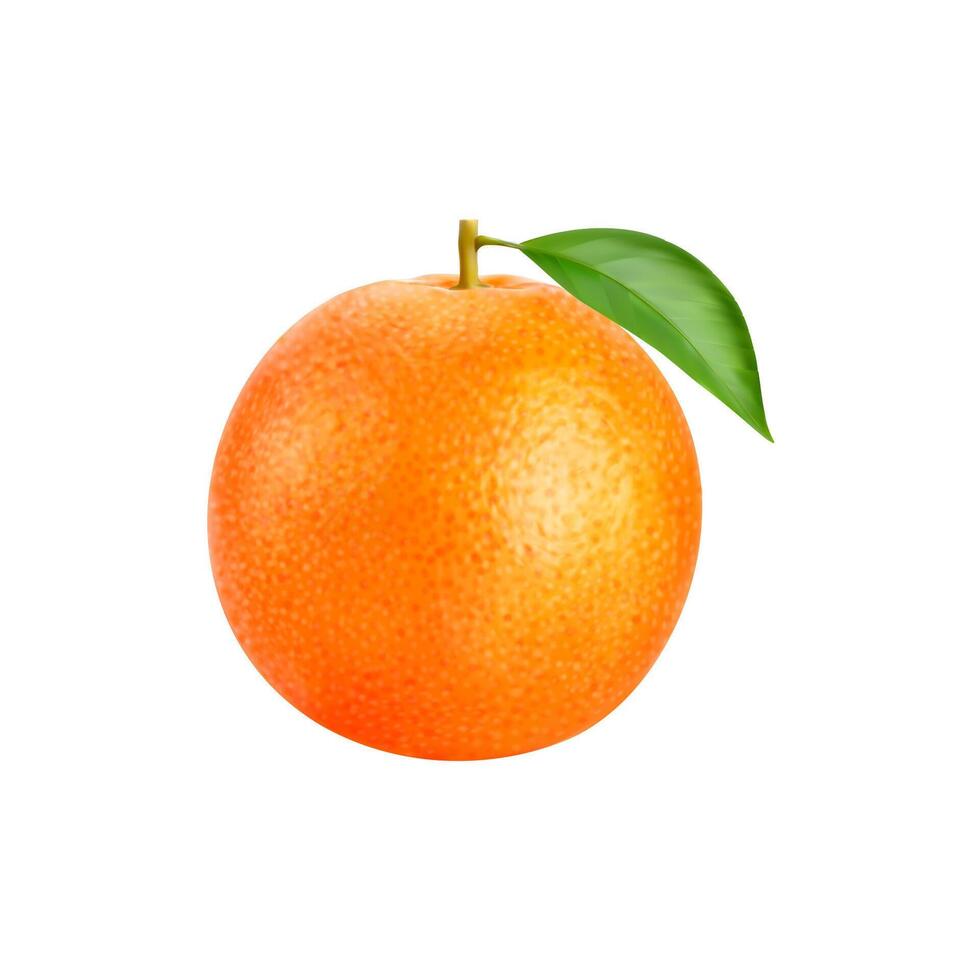 Realistic ripe orange citrus sun-kissed fruit 34809760 Vector Art at