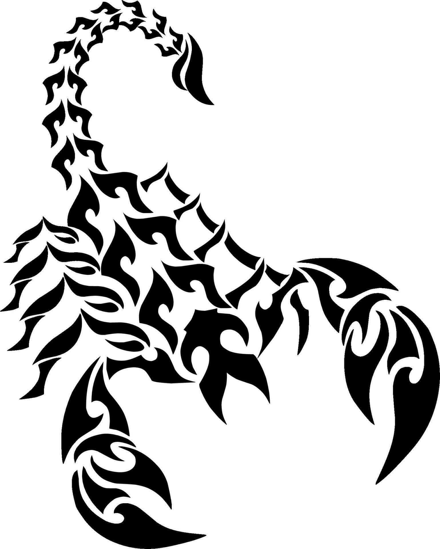 illustration vector graphic of design clipart tribal tattoo scorpion ...