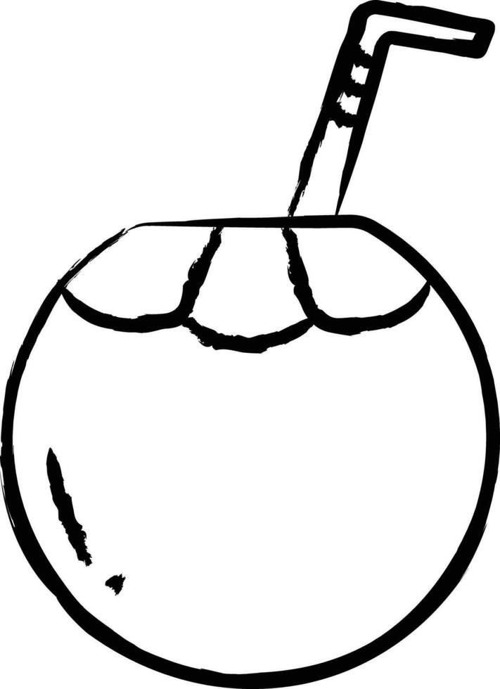Tender Coconut hand drawn vector illustration