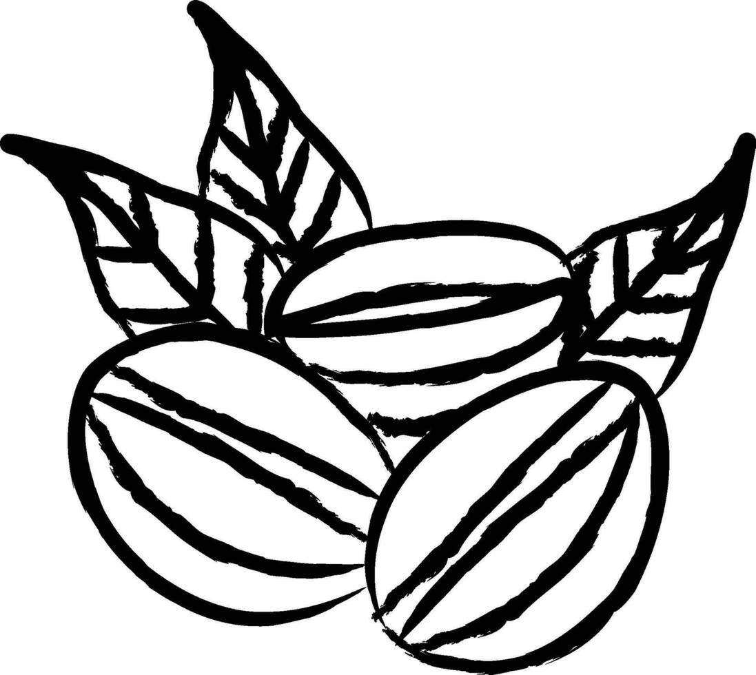 Coffee Beans hand drawn vector illustration
