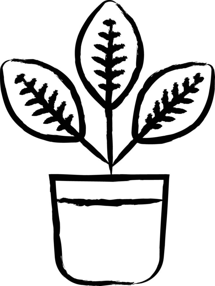 Croton plant hand drawn vector illustration