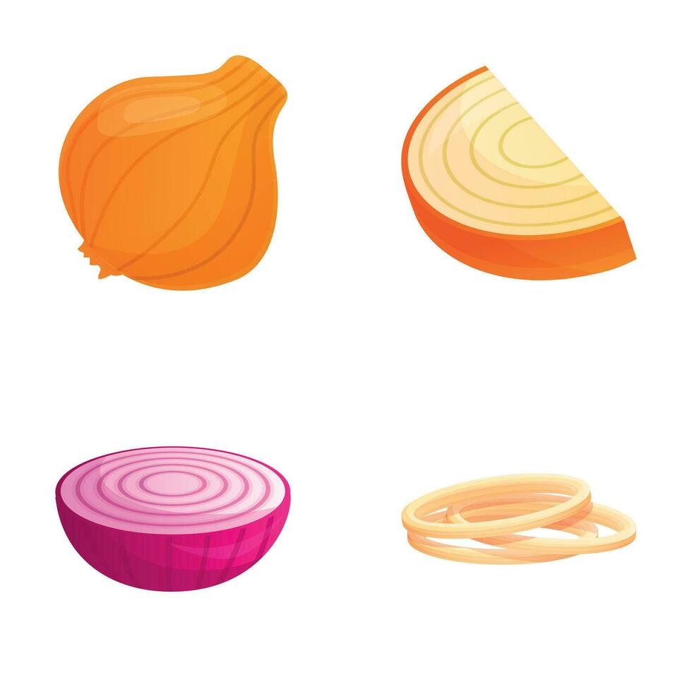 Onion icons set cartoon vector. Whole and cut onion vector