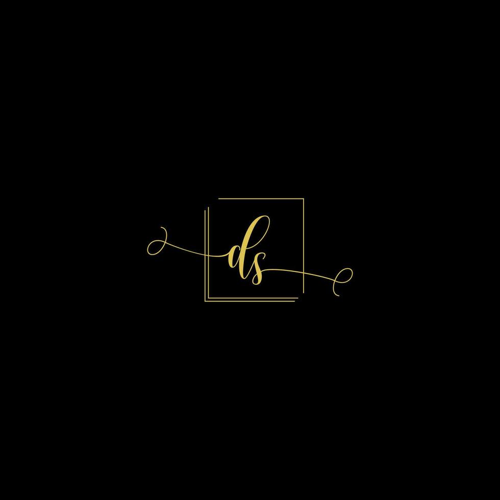 DS creative modern letters logo design template vector