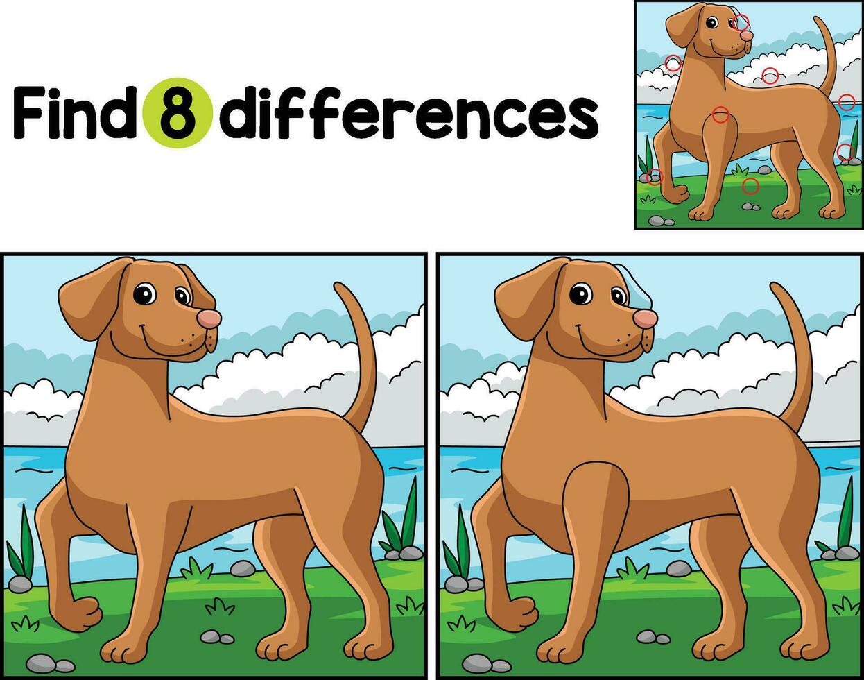 Vizsla Dog Find The Differences vector